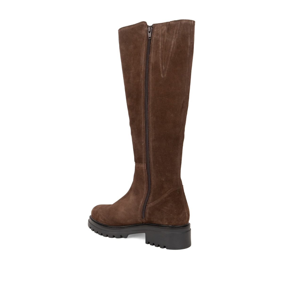 Tasvi Women's Brown Boots