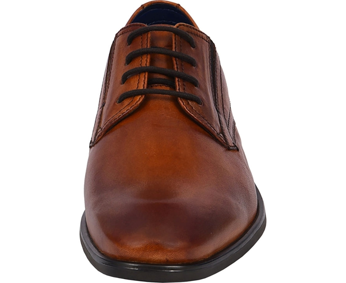 savio evo formal