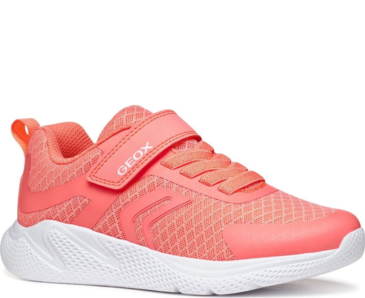 sprintye leisure trainers