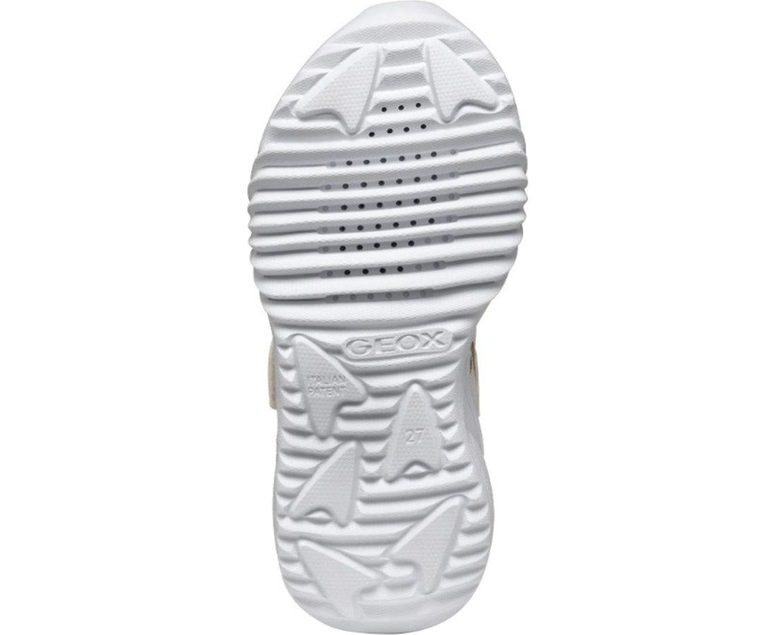 assister leisure trainers