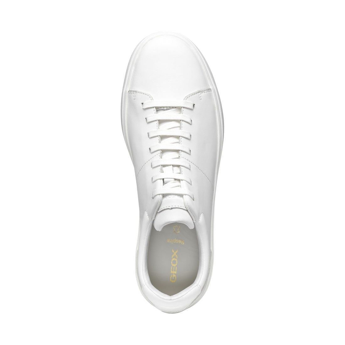 baltmoore leisure white