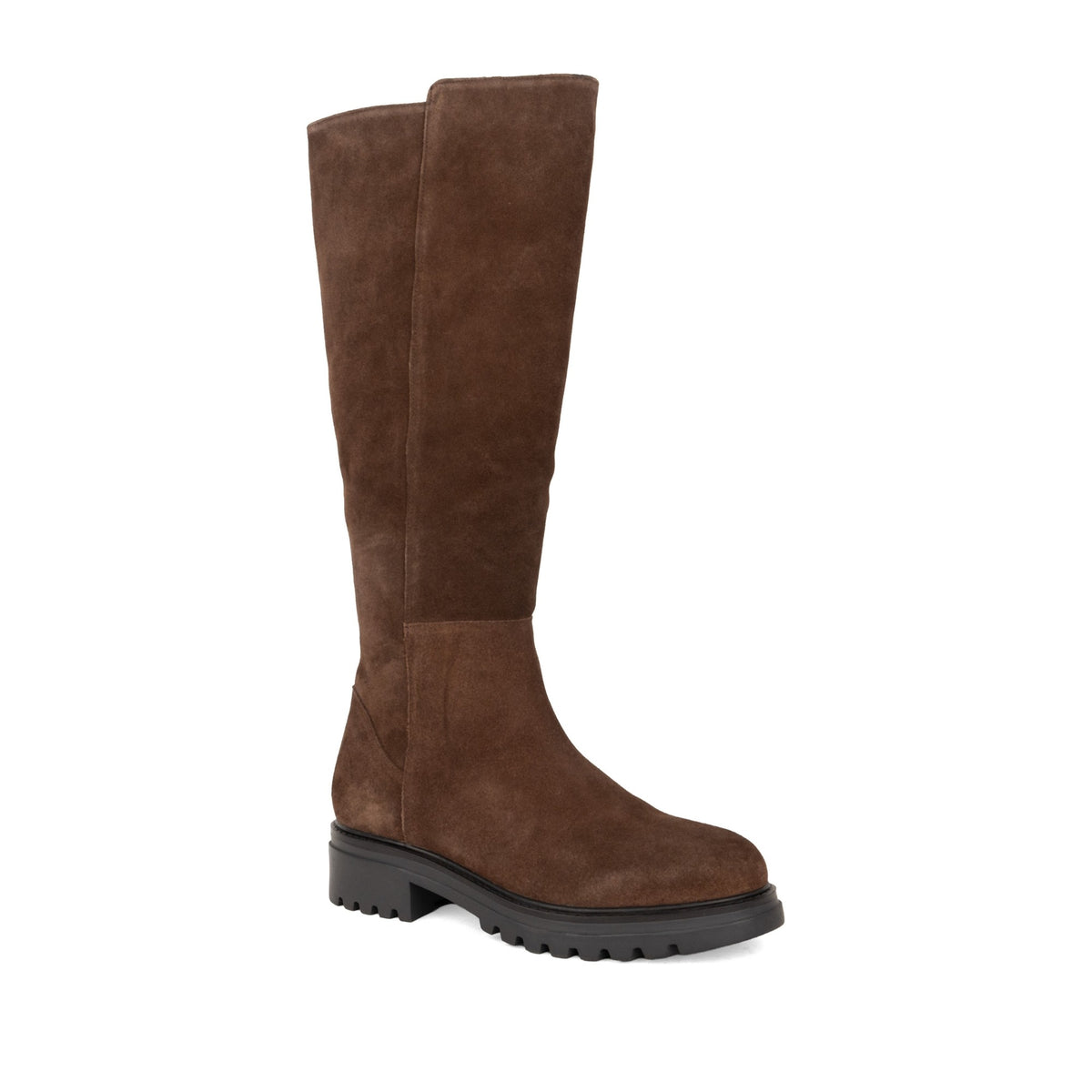 Tasvi Women's Brown Boots