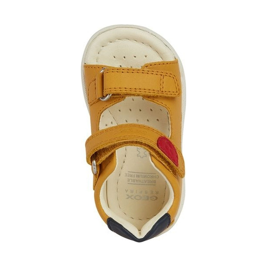 Geox boys ochreyellow, blue sandal macchia | Vilbury London