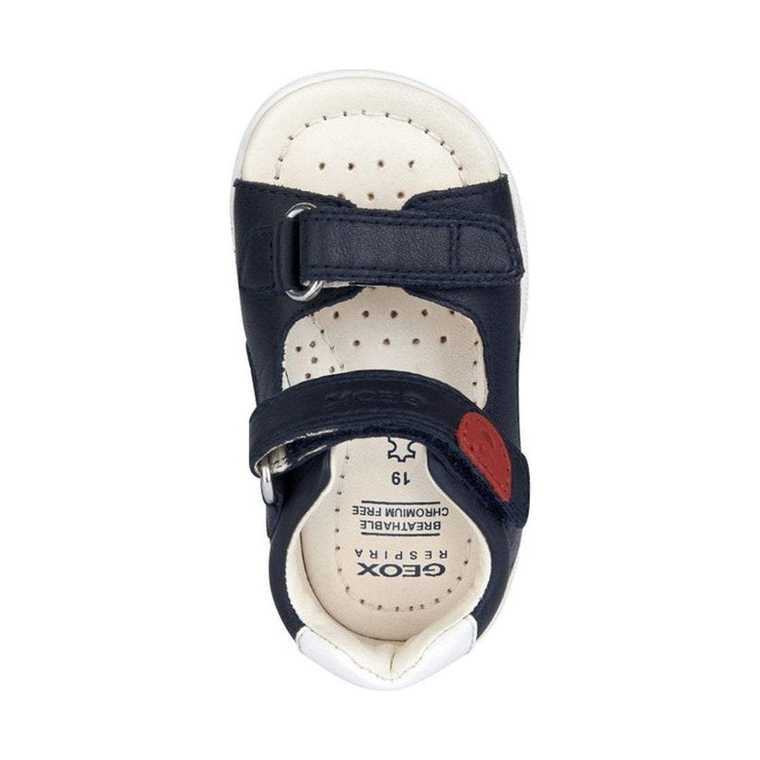 Geox boys navy sandal macchia | Vilbury London