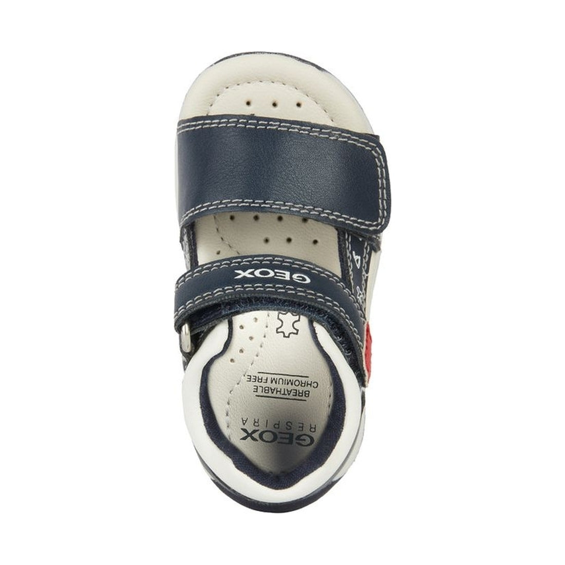 Geox boys navy, red sandal tapuz | Vilbury London