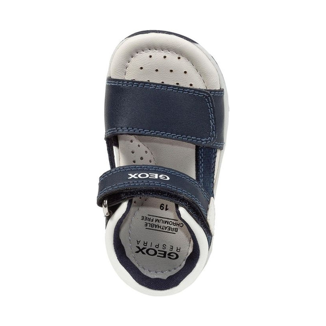 Geox boys navy, white sandal tapuz | Vilbury London