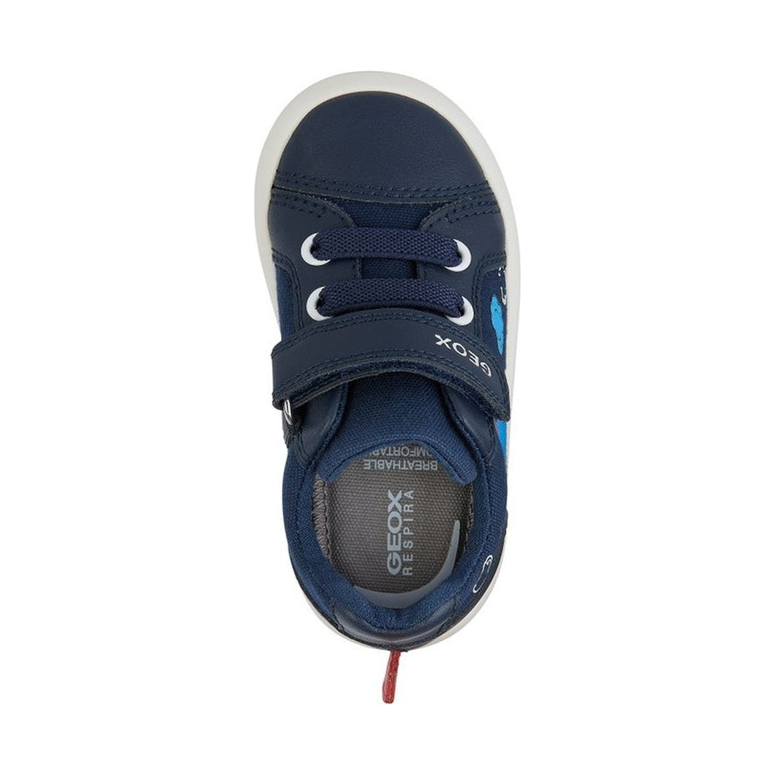 Geox boys navy, red gisli sneakers | Vilbury London