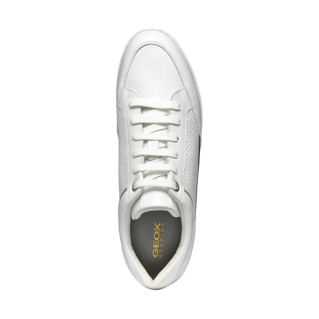 Geox womens white myria sneakers | Vilbury London