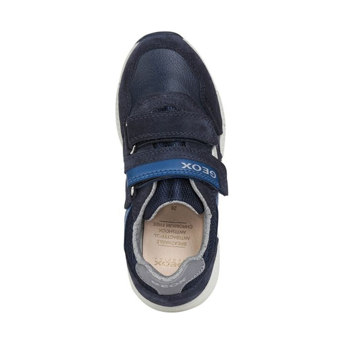 Geox boys navy, dk avio alben sneakers | Vilbury London