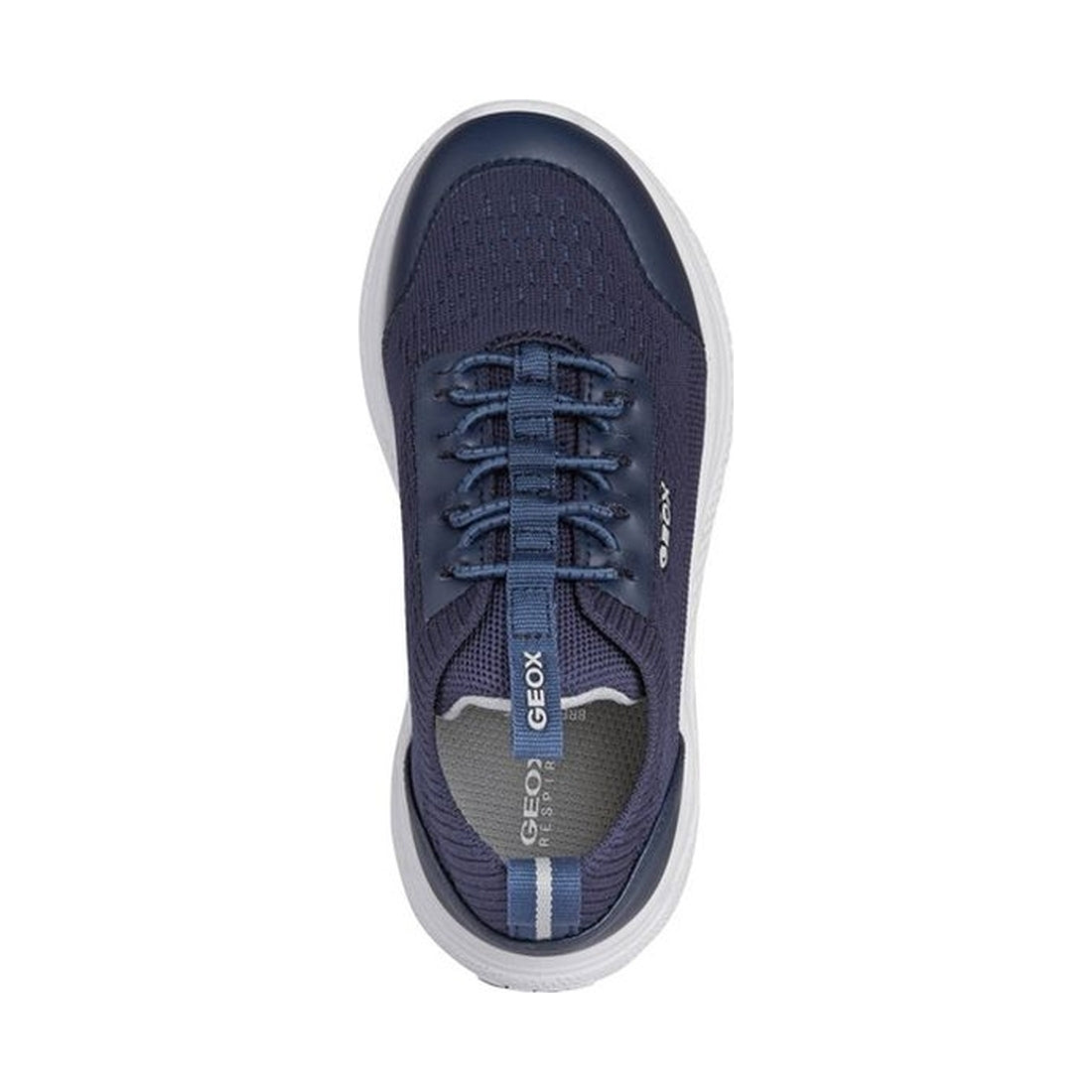 Geox boys navy sprintye sneakers | Vilbury London