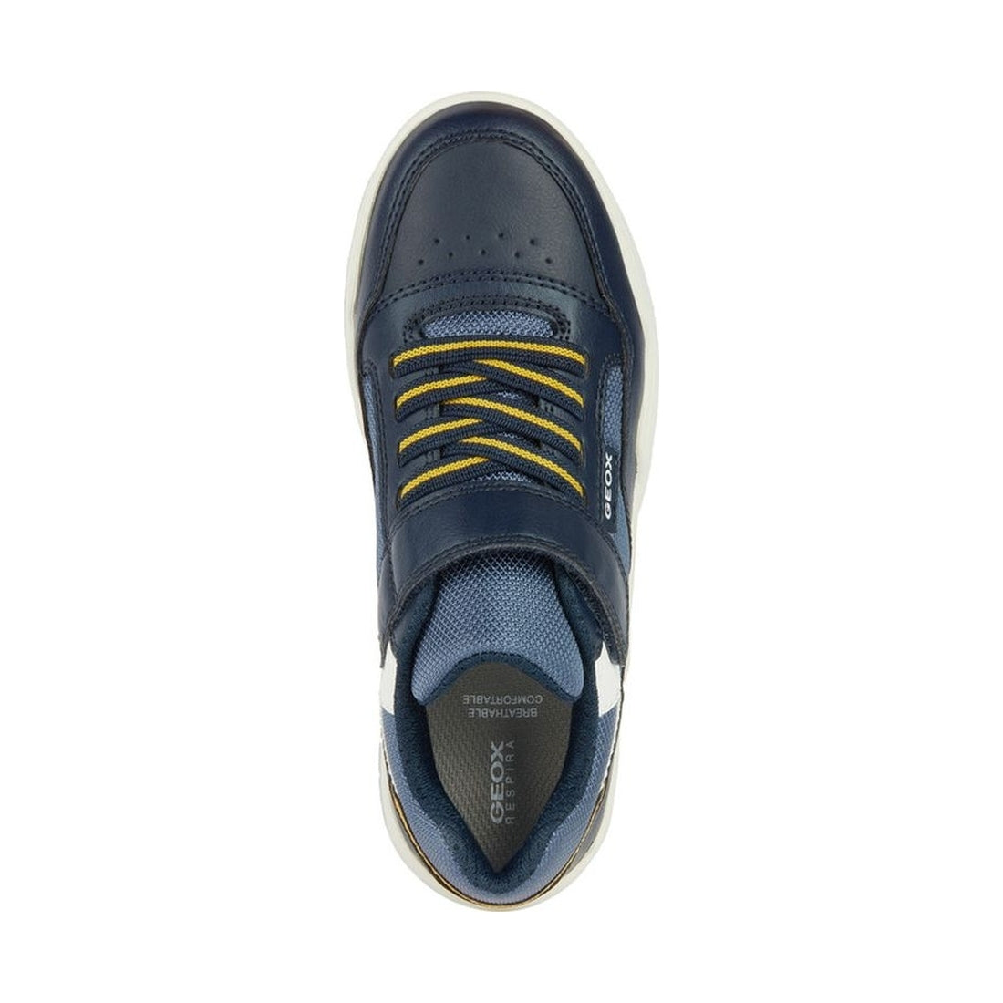 Geox boys navy, avio perth sneakers | Vilbury London