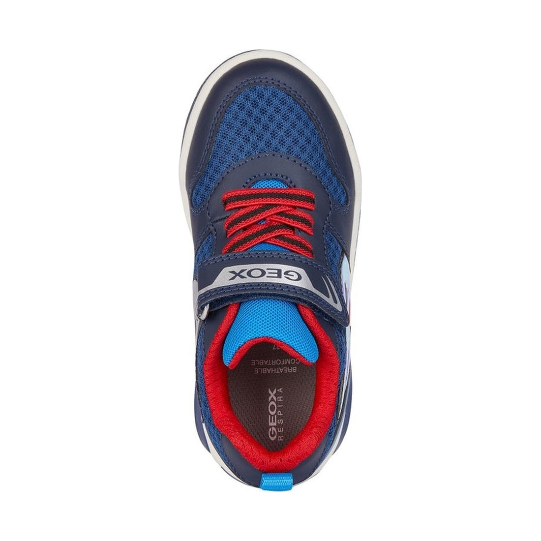 Geox boys navy, lt blue inek sneakers | Vilbury London