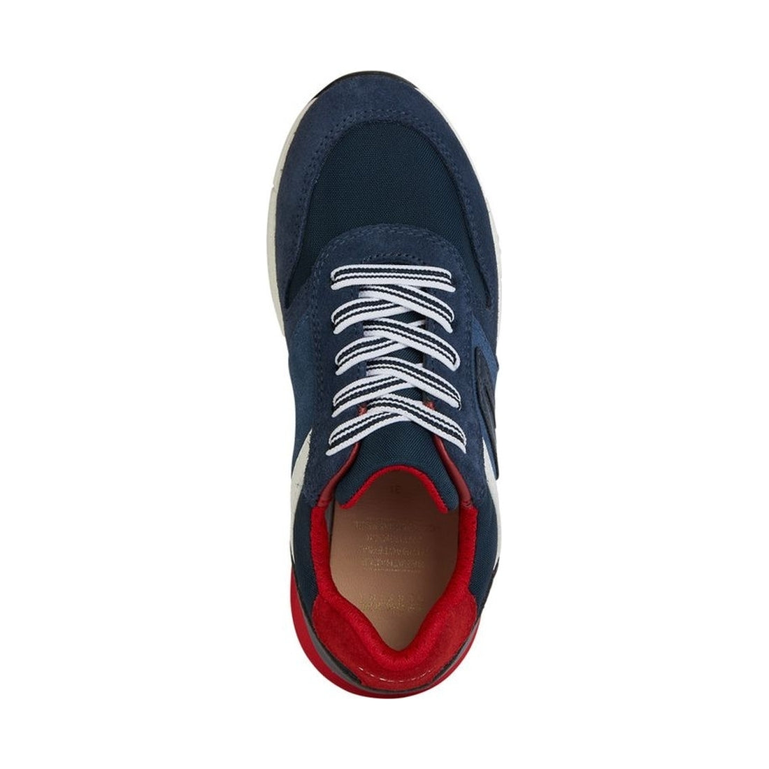 Geox boys navy, avio alben sneakers | Vilbury London