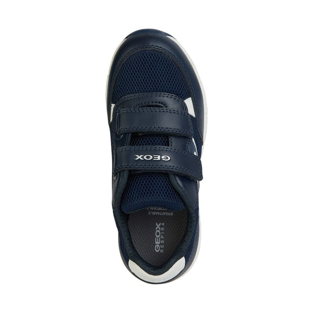 Geox boys navy, white alben sneakers | Vilbury London