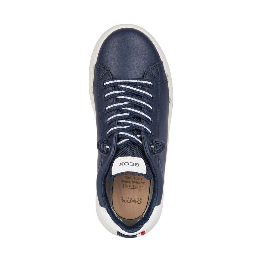 Geox boys navy, white hyroo sneakers | Vilbury London