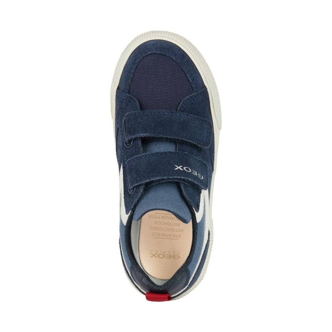 Geox boys navy alphabeet sneakers | Vilbury London