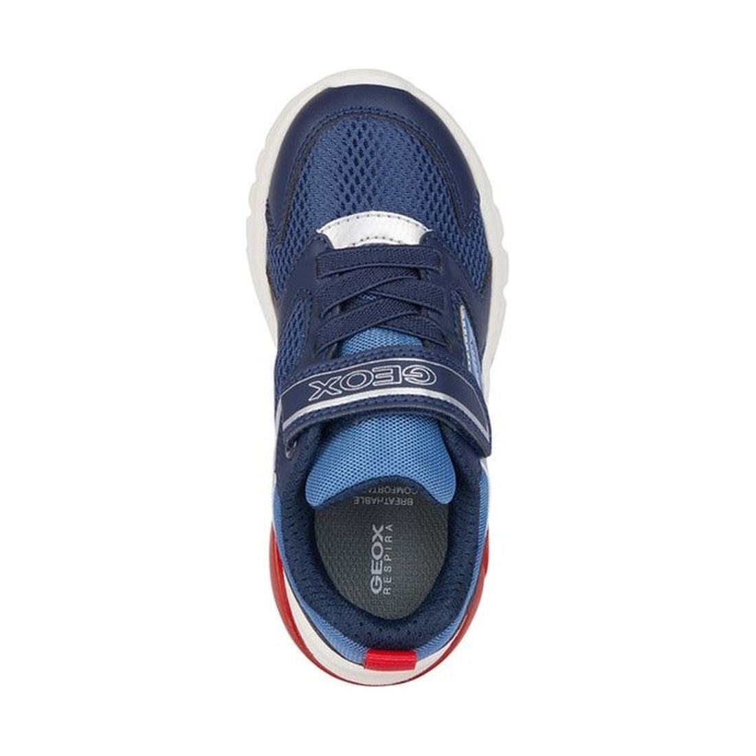 Geox boys navy, red ciberdron sneakers | Vilbury London