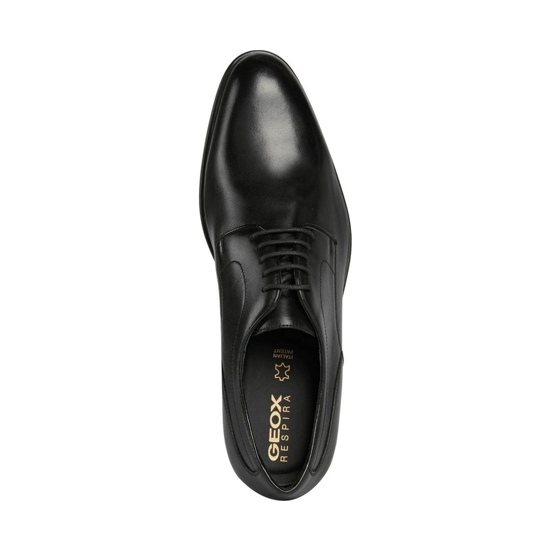 Geox mens black iacopo shoes | Vilbury London