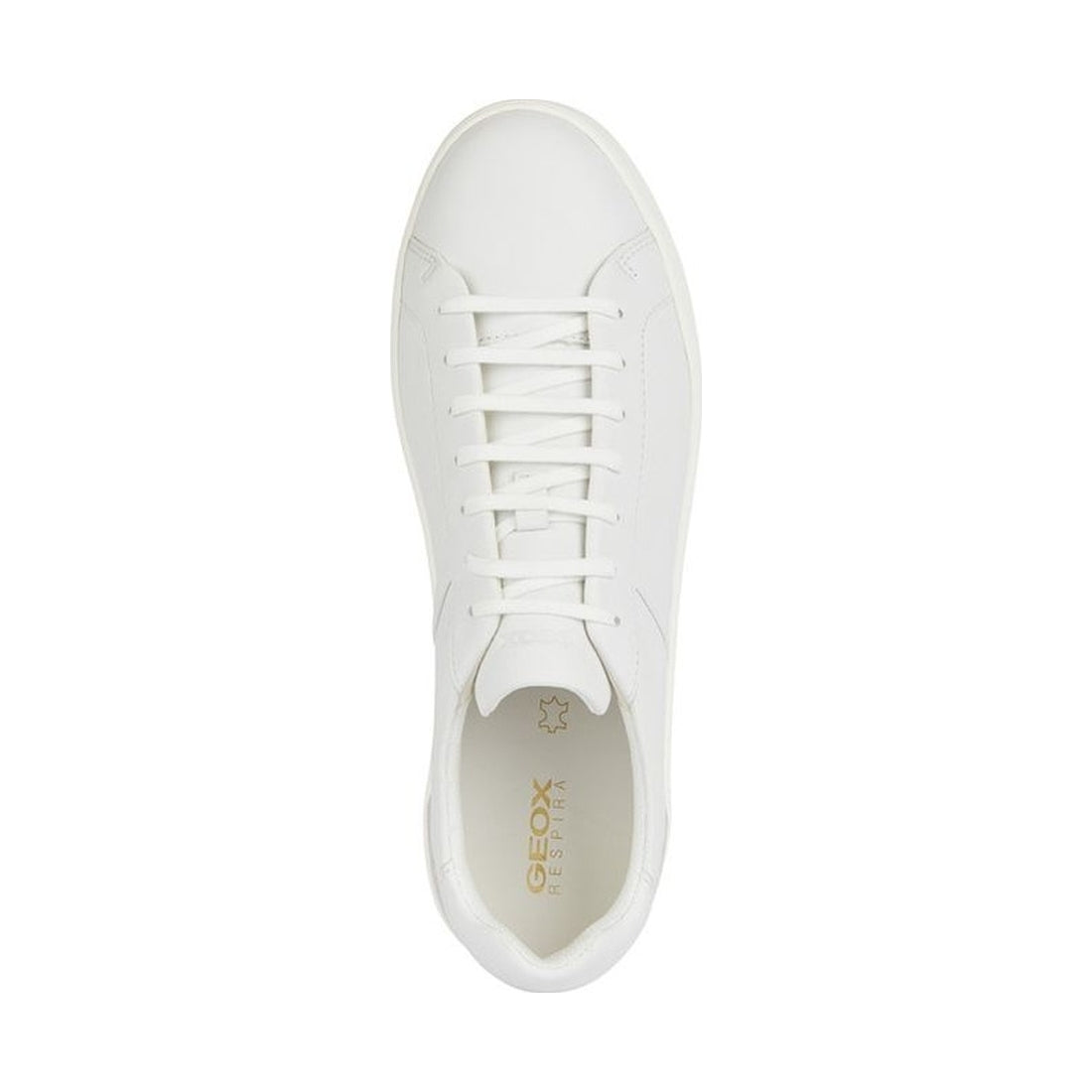 Geox mens white regio sneakers | Vilbury London