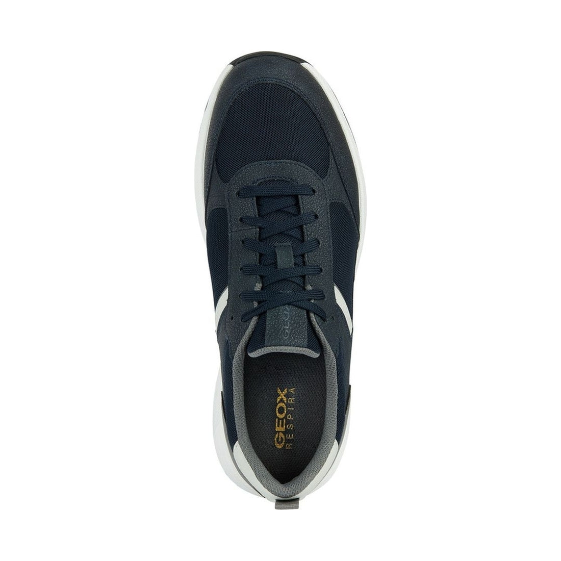 Geox mens navy, dk grey molveno sneakers | Vilbury London