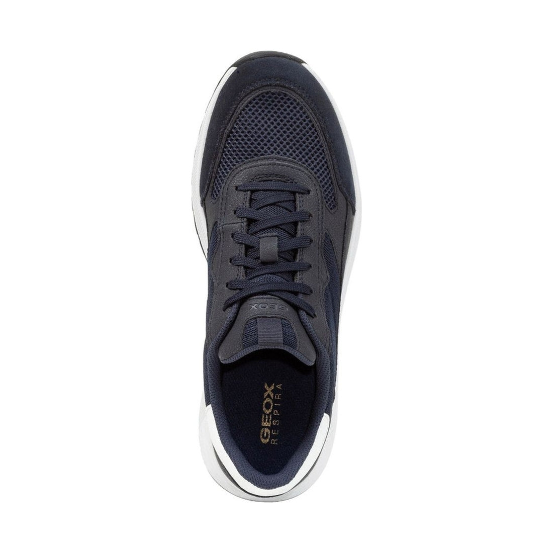 Geox mens navy molveno sneakers | Vilbury London