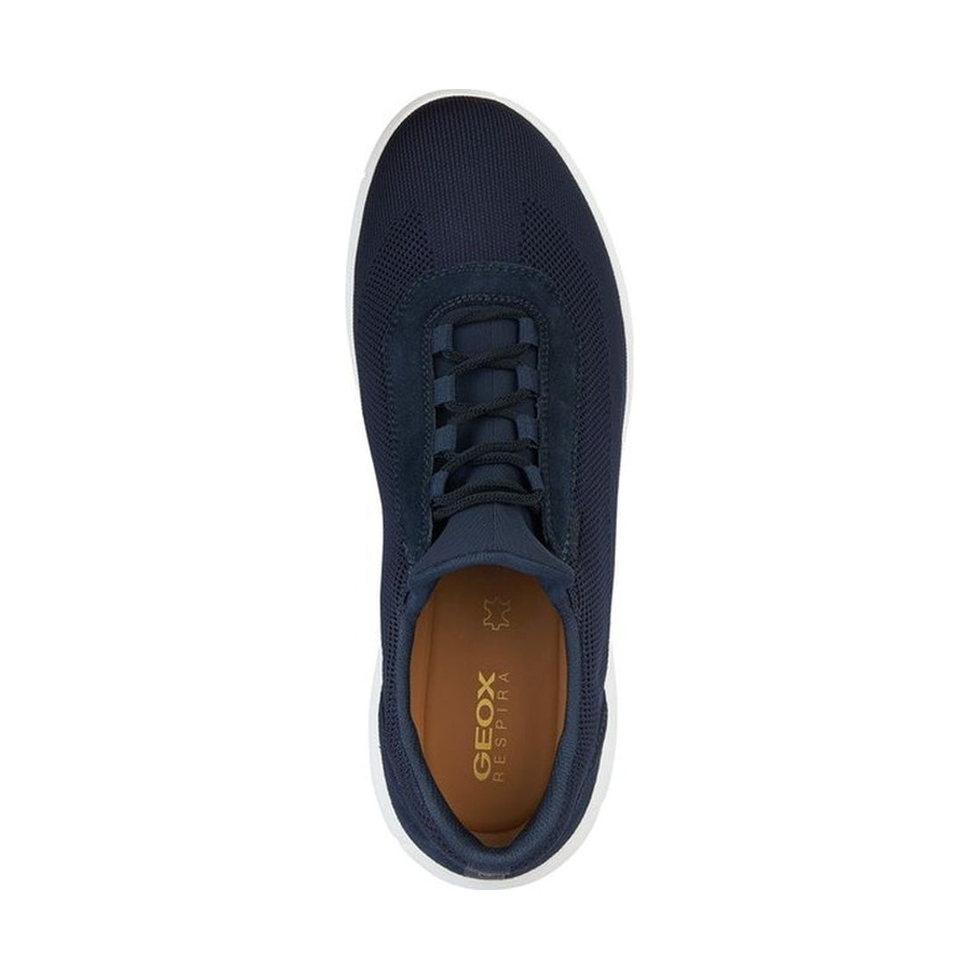 Geox mens navy nebula 2.0 sneakers | Vilbury London