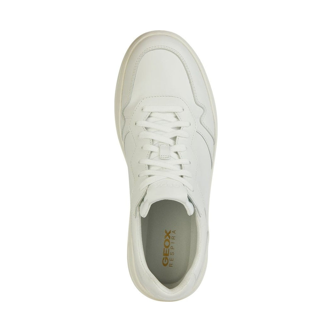 Geox mens white arvier sneakers | Vilbury London