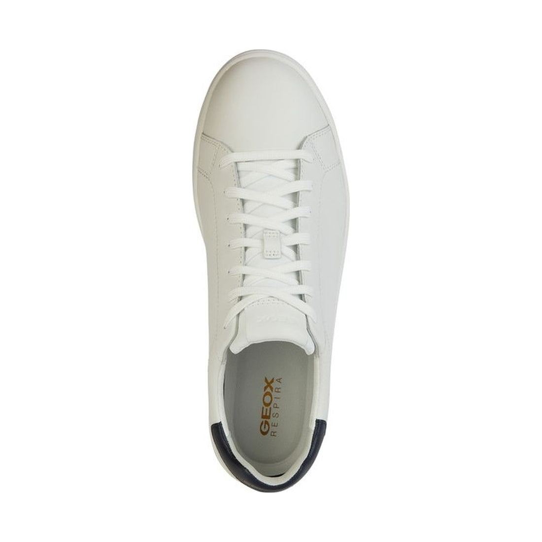 Geox mens white, navy spherica ecub-1 sneakers | Vilbury London