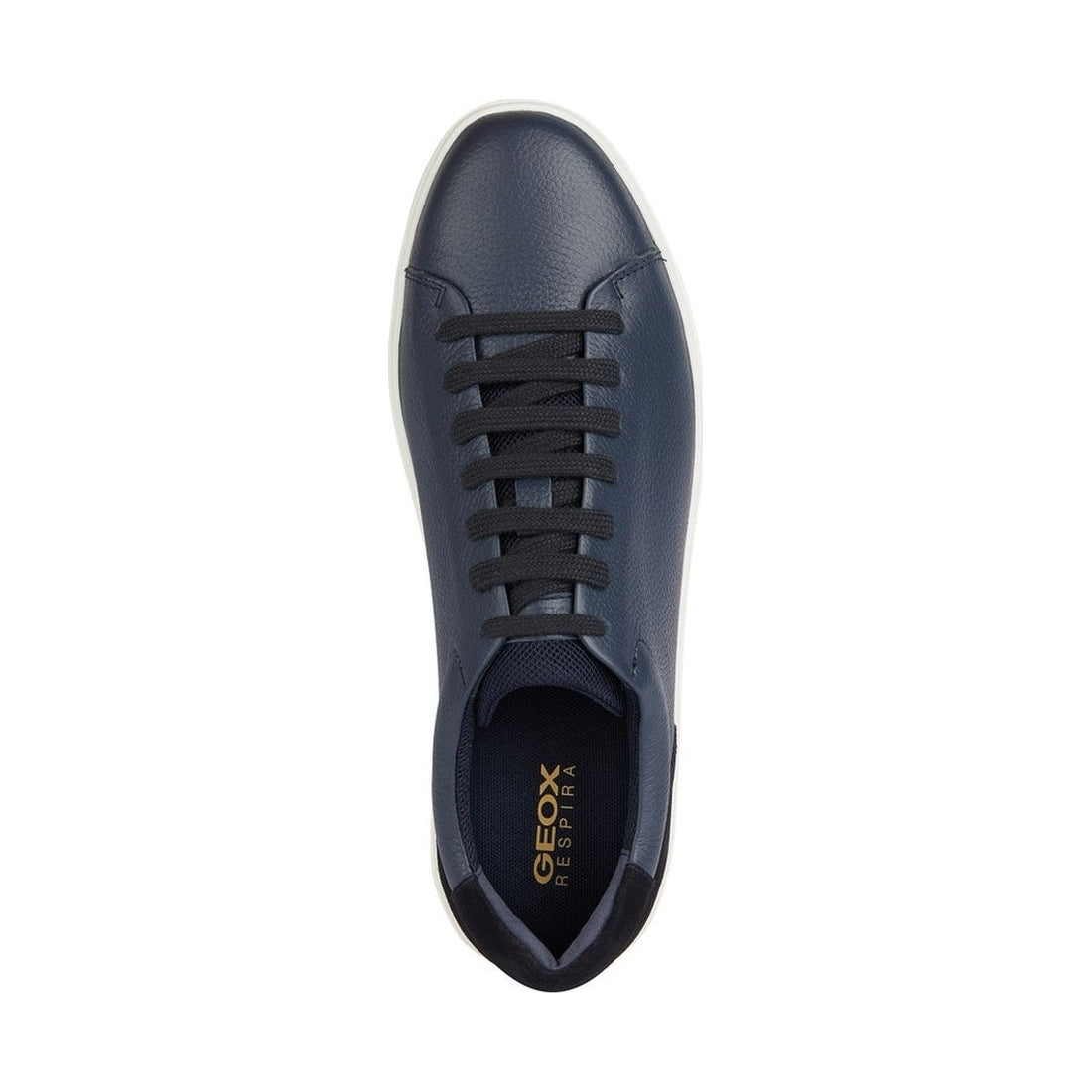 Geox mens navy avola sneakers | Vilbury London