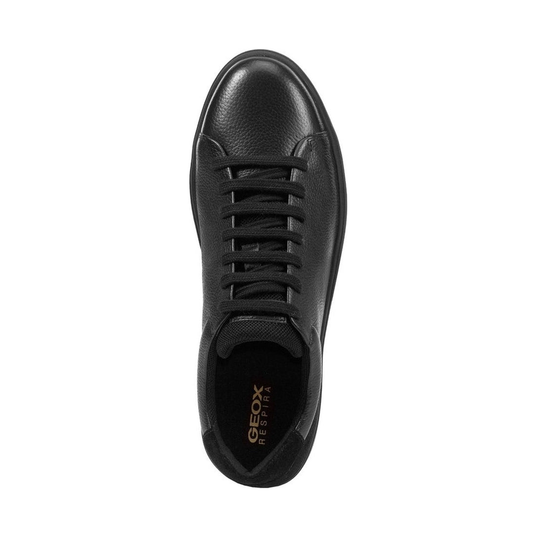 Geox mens black avola sneakers | Vilbury London