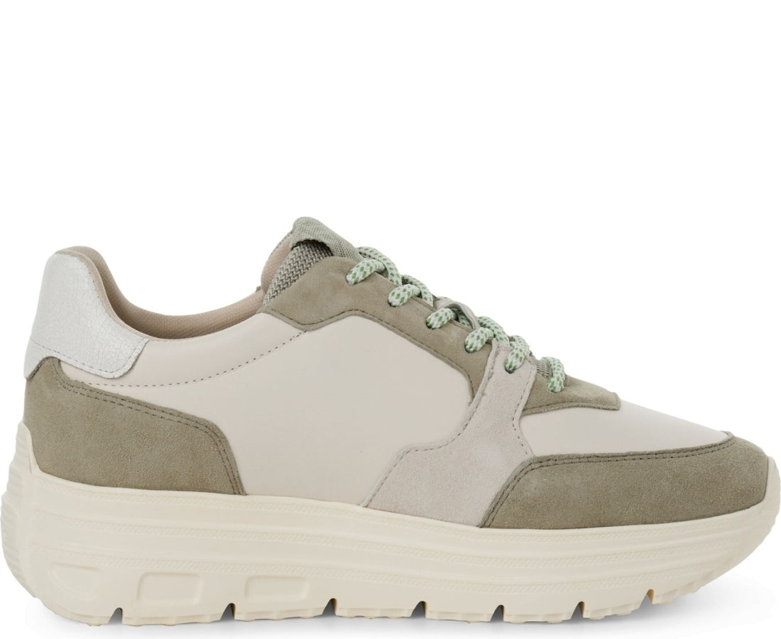 sneaker low