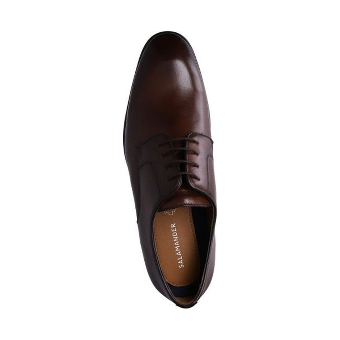 Salamander mens brown maleno formal | Vilbury London