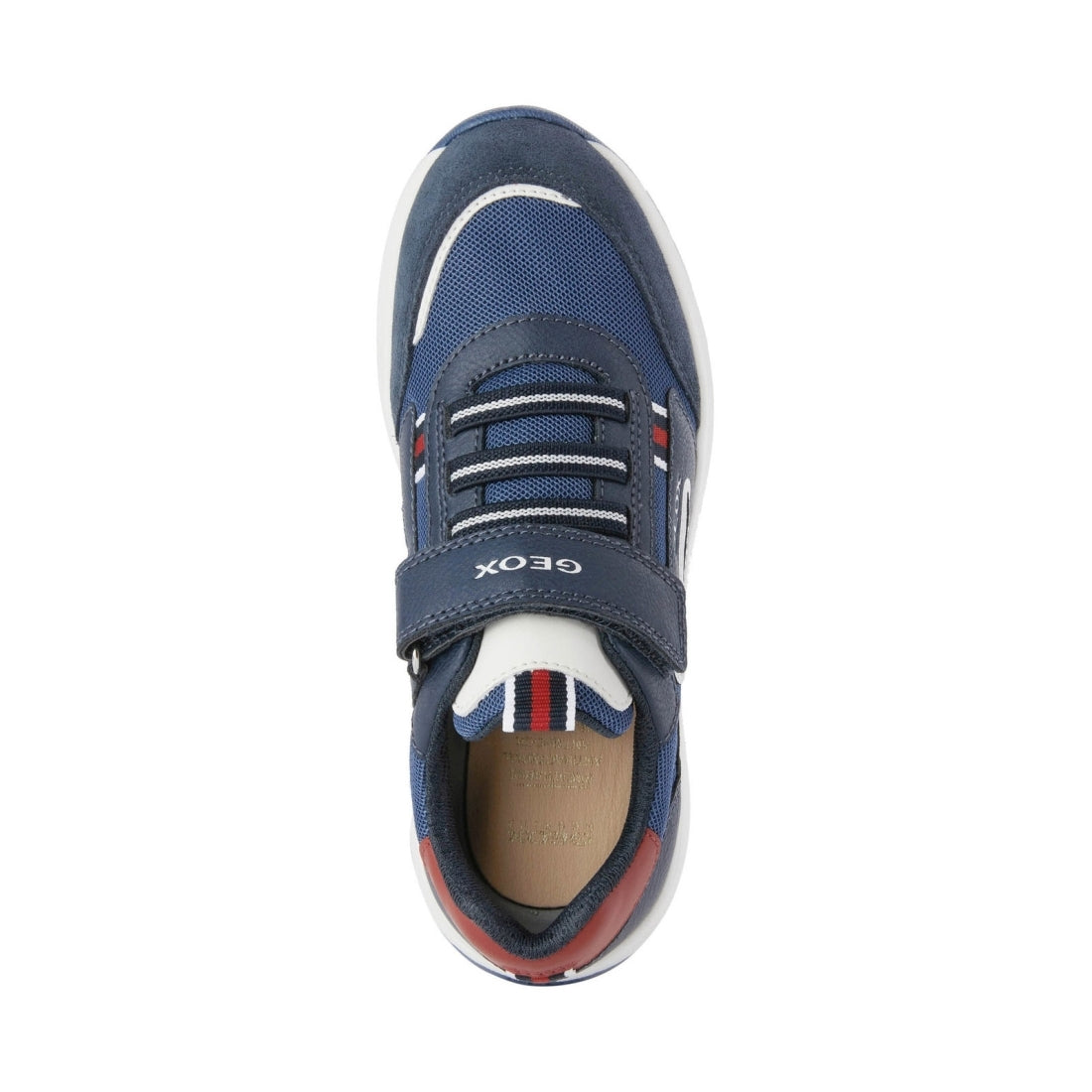 Geox Boys Navy Red briezee shoes | Vilbury London