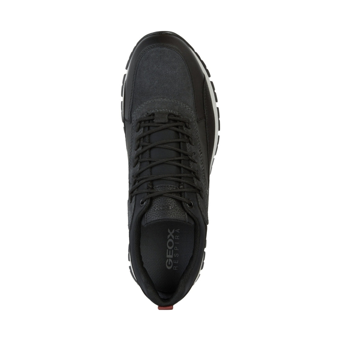 Geox mens Black Anthracite delray abx sport shoe | Vilbury London